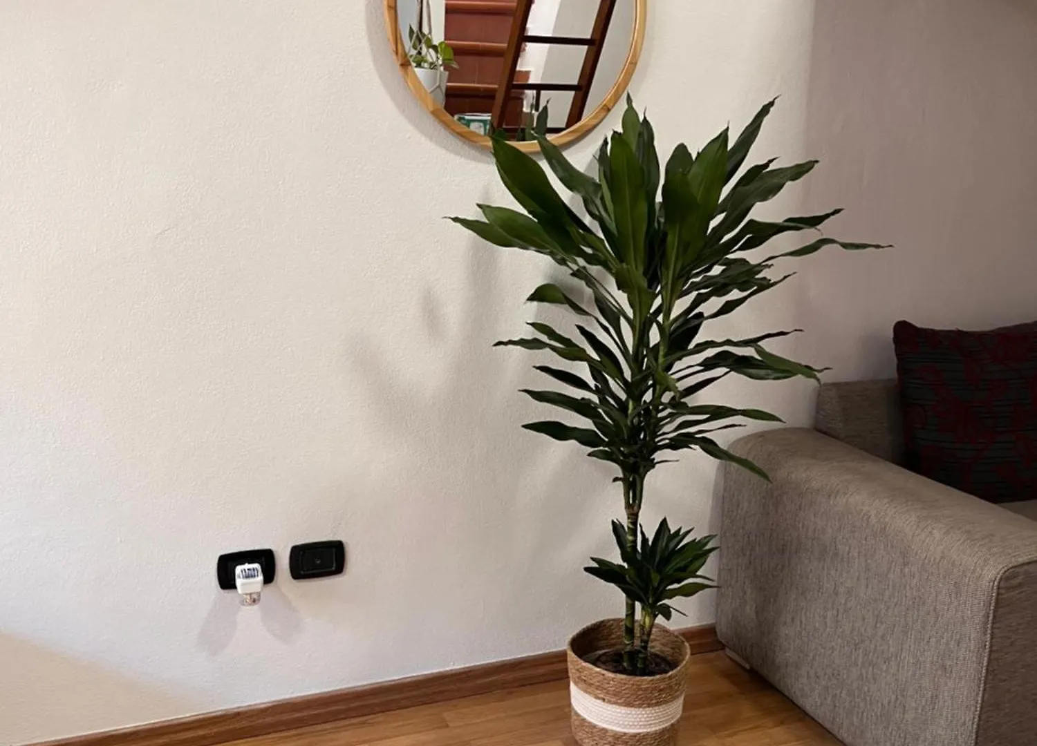 La Terrazza Apartment Alghero Italy